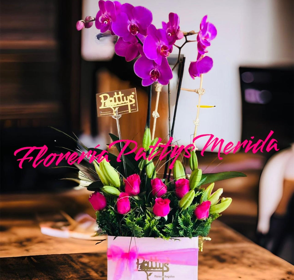 Regalo orquídeas Phaleonopsis & Rosas