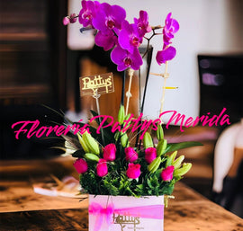 Regalo orquídeas Phaleonopsis & Rosas
