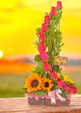 Espiral de 12 rosas