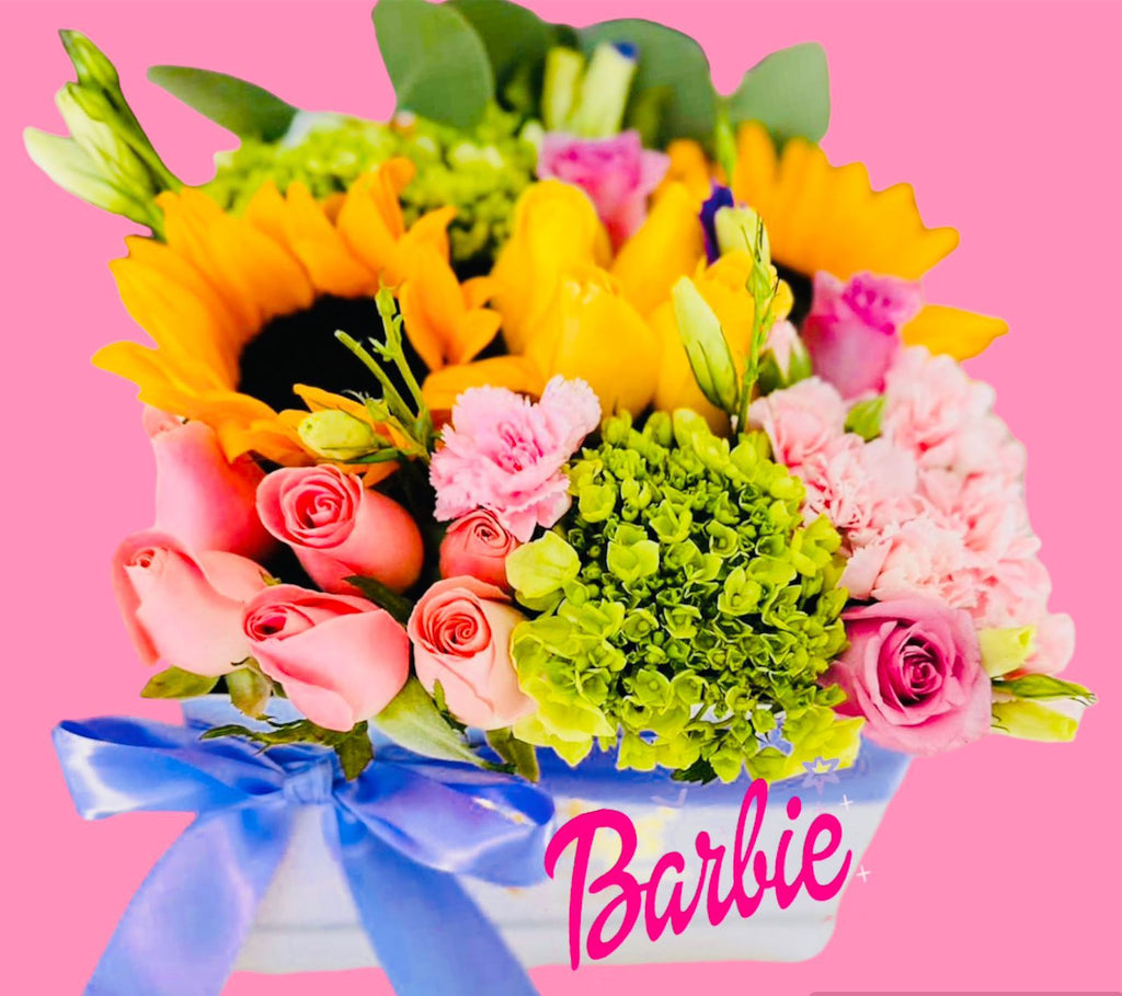 Mi Barbie Box