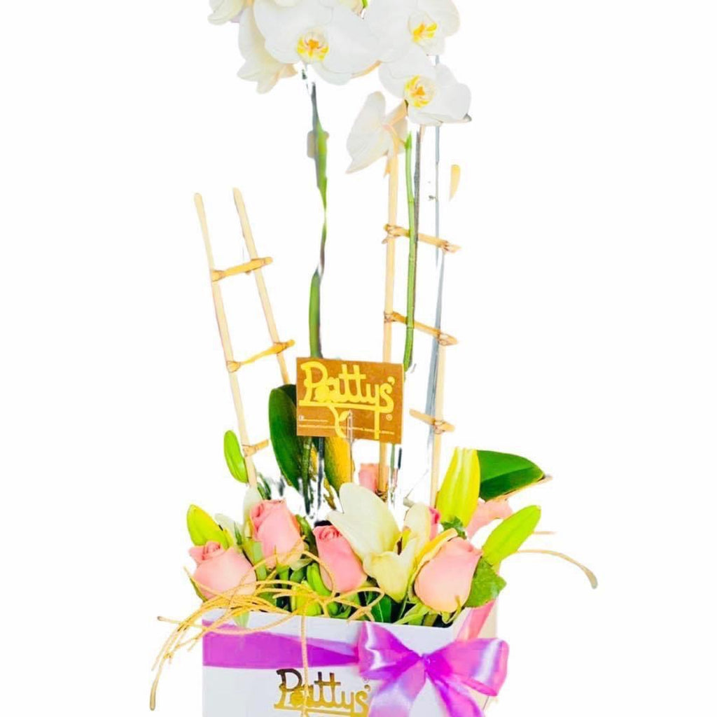 Hermosa orquídea &rosas