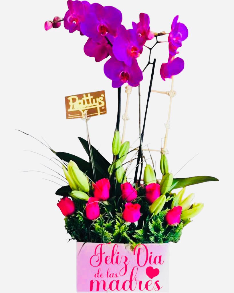 Regalo orquídeas Phaleonopsis & Rosas