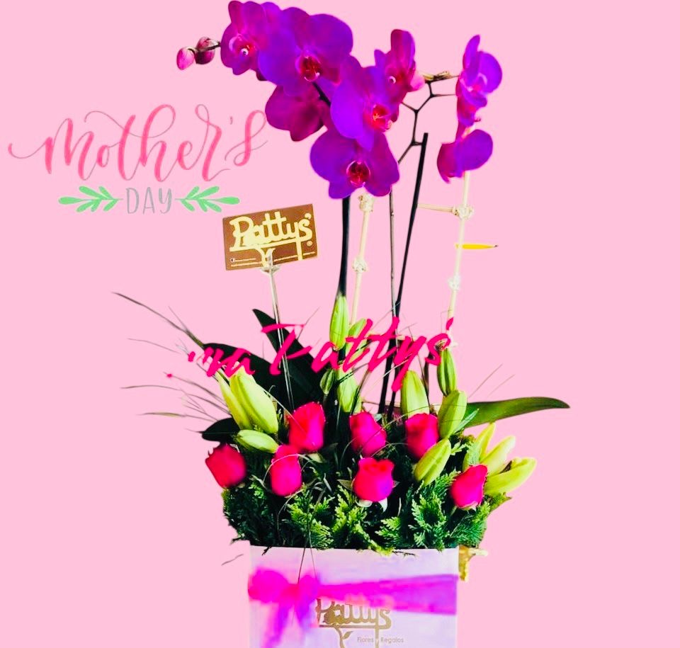 Regalo orquídeas Phaleonopsis & Rosas
