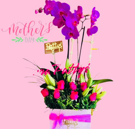Regalo orquídeas Phaleonopsis & Rosas
