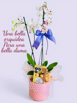 Estilizada orquídea y chocolates